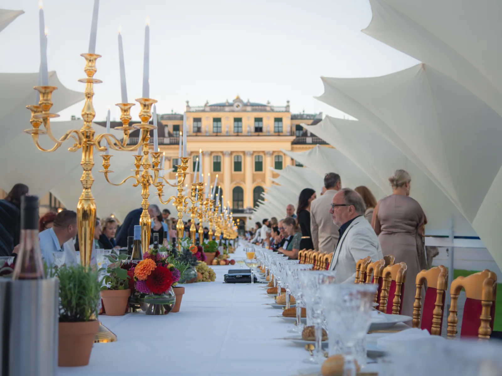 Palace gala dinner at Schönbrunn, Vienna