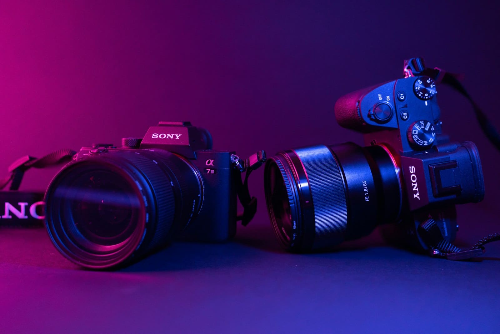 Sony Alpha cameras under coloured studio light, ready for a headshot session